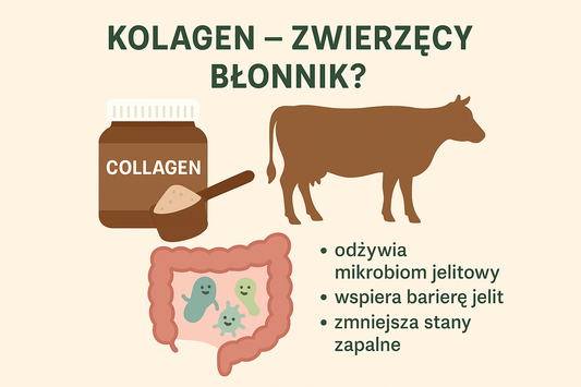 🧫 Kolagen – zwierzęcy błonnik dla Twojego mikrobiomu?